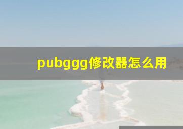 pubggg修改器怎么用