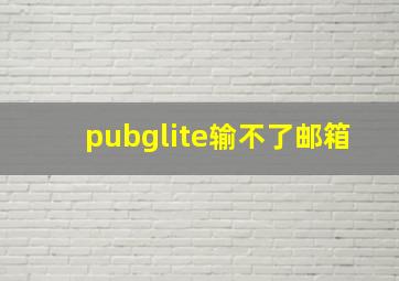 pubglite输不了邮箱