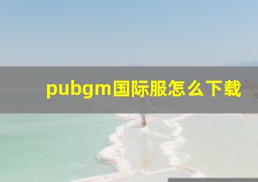 pubgm国际服怎么下载