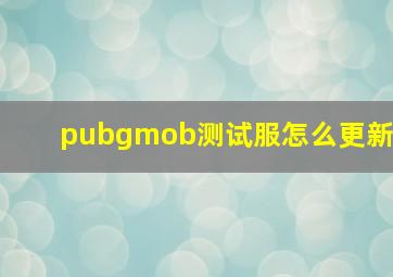 pubgmob测试服怎么更新