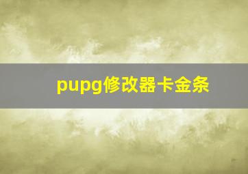 pupg修改器卡金条