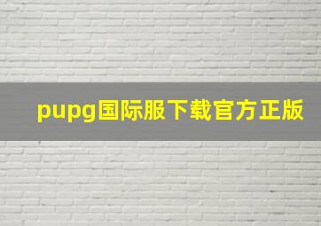 pupg国际服下载官方正版