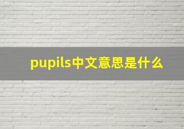 pupils中文意思是什么