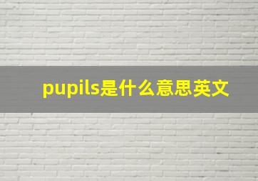 pupils是什么意思英文