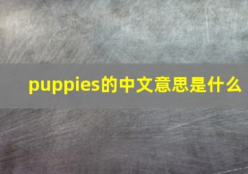 puppies的中文意思是什么