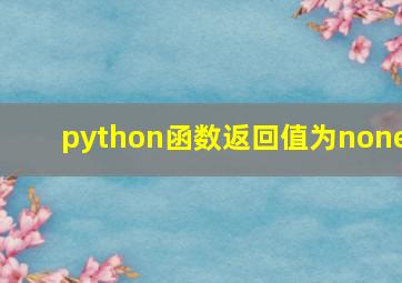 python函数返回值为none