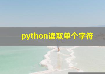 python读取单个字符