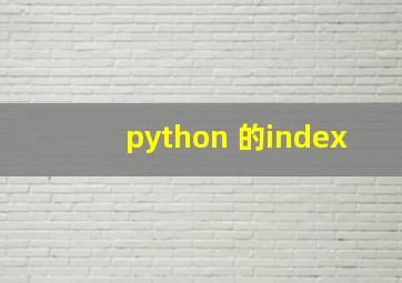 python 的index