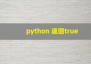 python 返回true