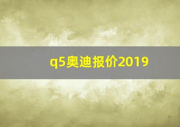 q5奥迪报价2019