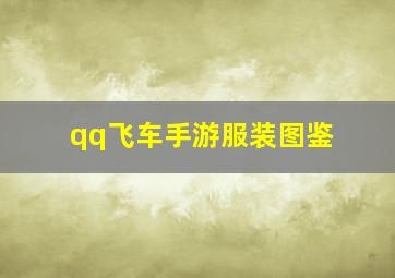 qq飞车手游服装图鉴