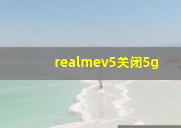 realmev5关闭5g