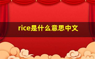 rice是什么意思中文