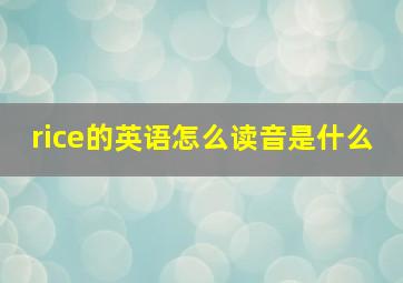 rice的英语怎么读音是什么