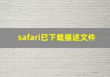 safari已下载描述文件