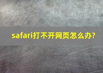 safari打不开网页怎么办?