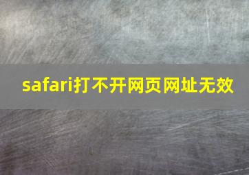 safari打不开网页网址无效