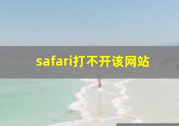 safari打不开该网站