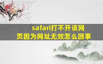 safari打不开该网页因为网址无效怎么回事