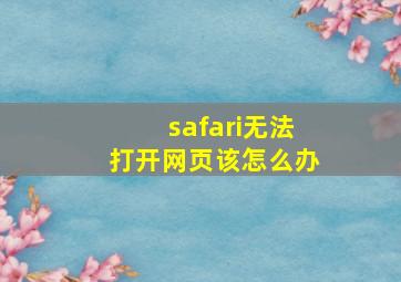 safari无法打开网页该怎么办