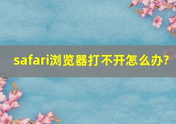 safari浏览器打不开怎么办?