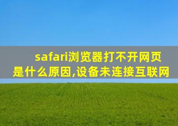 safari浏览器打不开网页是什么原因,设备未连接互联网