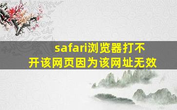 safari浏览器打不开该网页因为该网址无效