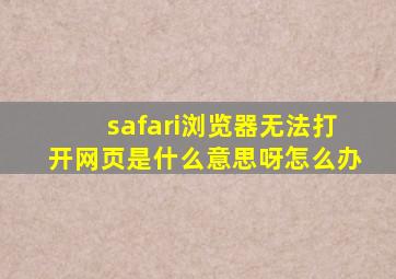 safari浏览器无法打开网页是什么意思呀怎么办