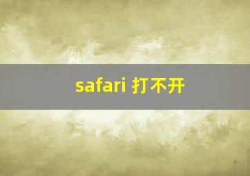 safari 打不开