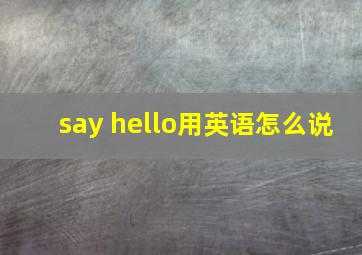 say hello用英语怎么说