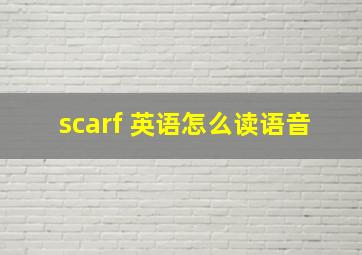 scarf 英语怎么读语音