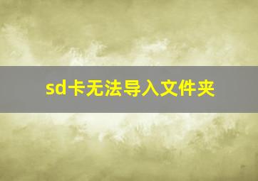 sd卡无法导入文件夹