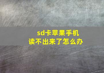 sd卡苹果手机读不出来了怎么办