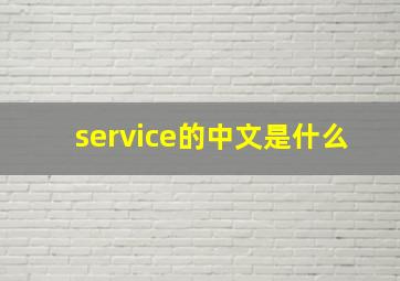 service的中文是什么