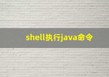 shell执行java命令