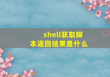 shell获取脚本返回结果是什么