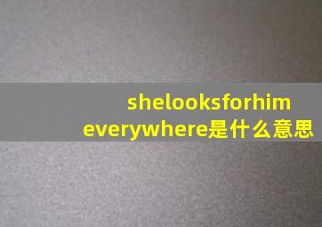 shelooksforhimeverywhere是什么意思