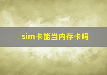 sim卡能当内存卡吗