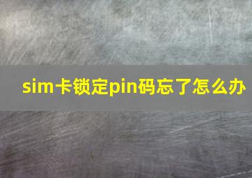 sim卡锁定pin码忘了怎么办