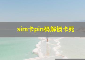 sim卡pin码解锁卡死