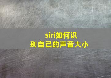 siri如何识别自己的声音大小