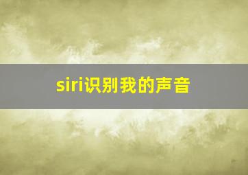 siri识别我的声音