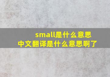 small是什么意思中文翻译是什么意思啊了