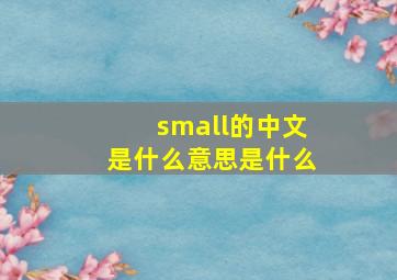 small的中文是什么意思是什么