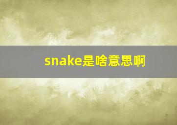 snake是啥意思啊