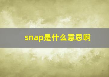 snap是什么意思啊