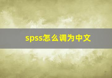 spss怎么调为中文