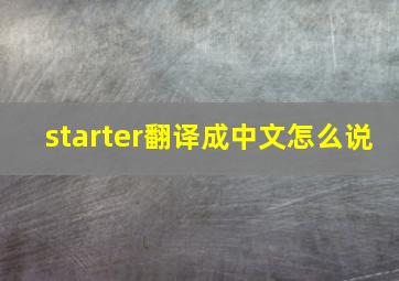 starter翻译成中文怎么说