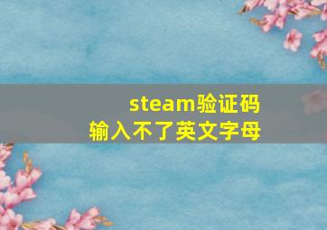 steam验证码输入不了英文字母