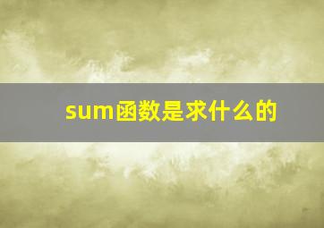 sum函数是求什么的